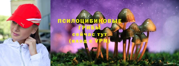 spice Баксан