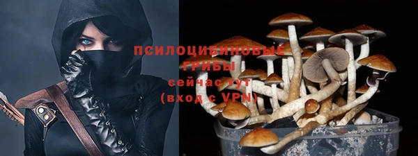 прущий лед Кукмор
