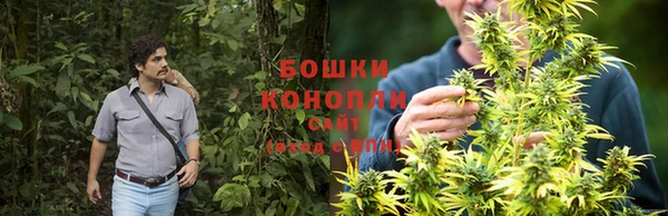 spice Баксан